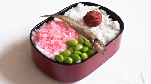 DIY: Totoro Bento. - Theheyheyhey